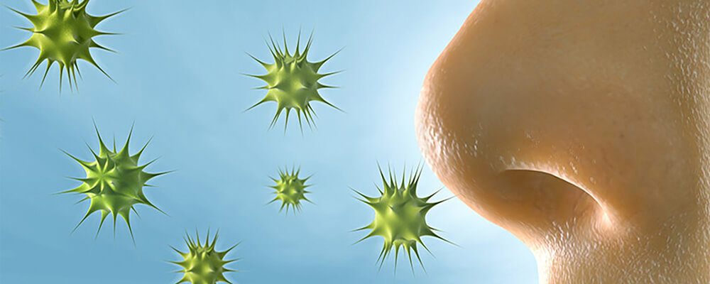 Homeopatsko lečenje alergije